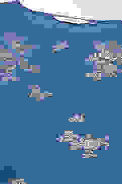 Navy Poly Cotton Flared Printed Dress image number 1