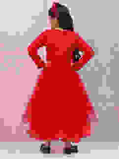 Red Nylon Layered Embroidered Dress image number 4