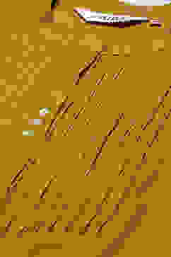 Mustard Poly Viscose Straight 2 Piece Set image number 1