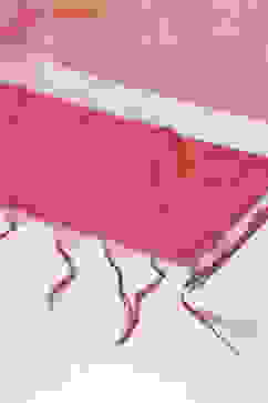 Red Cotton Blend Yarndyed Dupatta image number 1