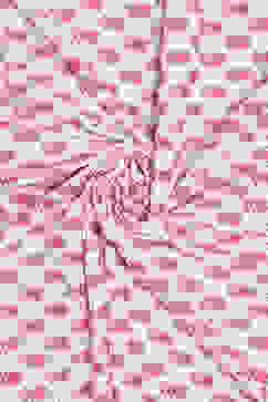 Pink Cotton Unstitched Suit Set image number 1