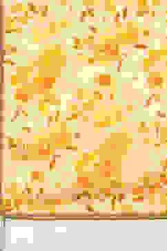 Yellow Cotton Kurta Kurta Garara Suit Set image number 2