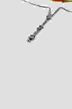 Off White Straight Kurta Palazzo Suit Set image number 1