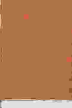 Terracotta Printed Straight Kurta Sharara Suit Set image number 3