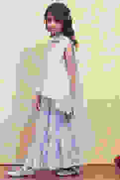 Ice Blue Embroidered Peplum Suit Set image number 3