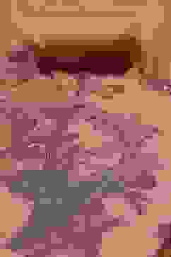 Peach Cotton Jamdani Unstitched Suit Set image number 1