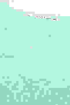 Aqua Blue and White Cotton Straight Suit Set image number 1