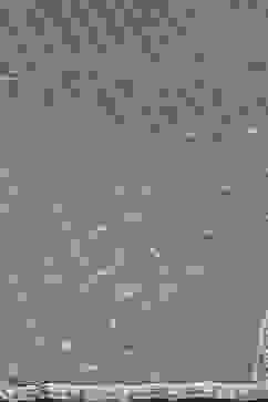 Off White Straight Kurta Palazzo Suit Set image number 3