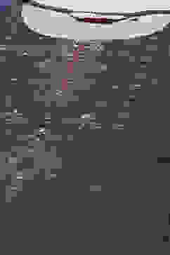 Teal Poly Cotton Straight Printed Kurti image number 1