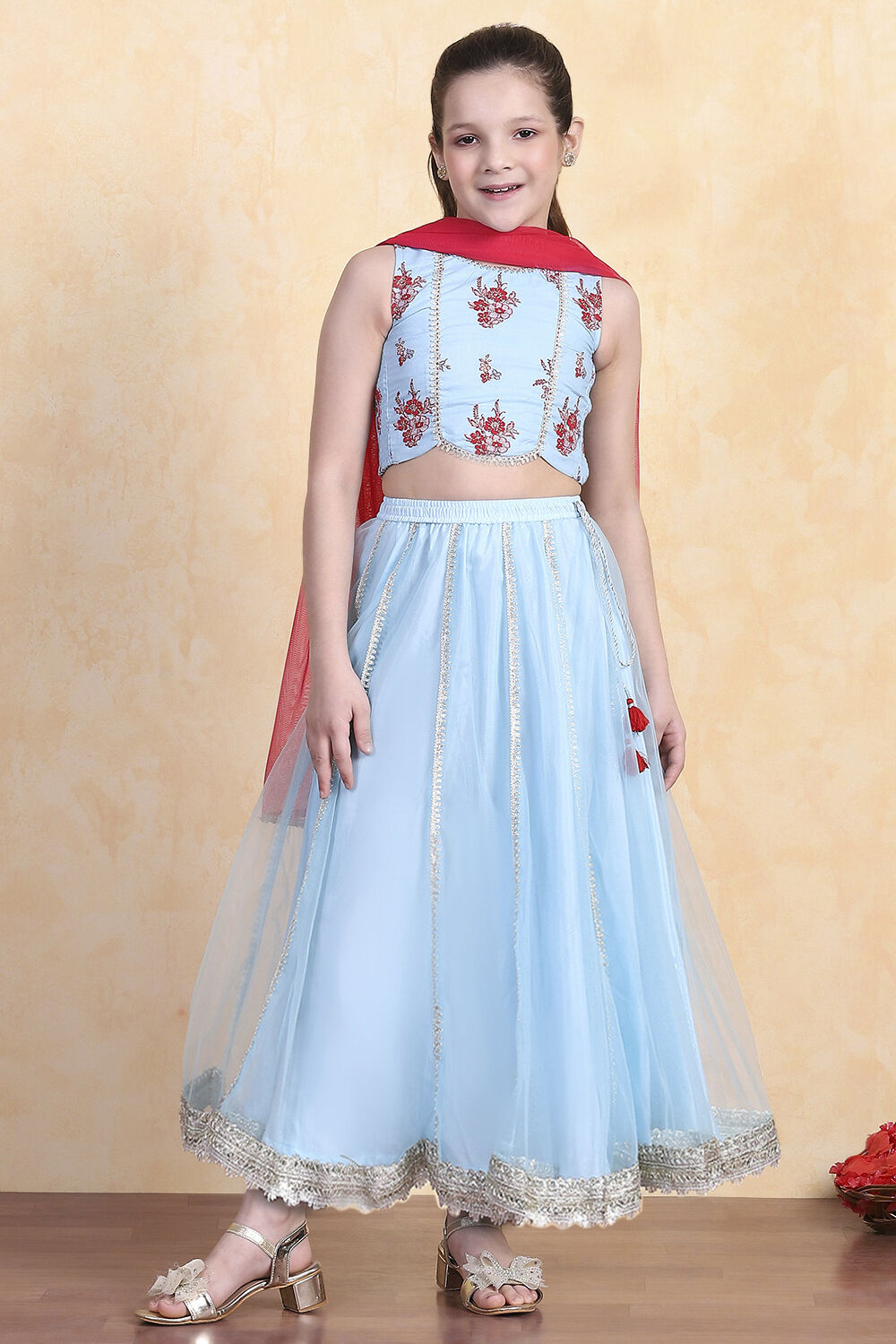 Sky Blue Printed Flared Lehenga Set image number 6
