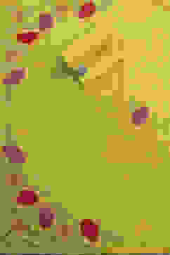 Yellow Cotton Applique Unstitched Suit Set image number 3