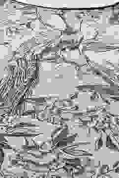 Beige LIVA Straight Printed Kurta image number 1