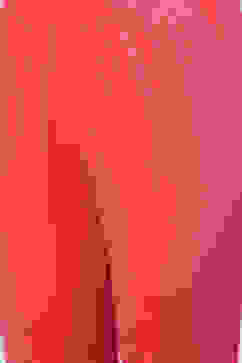 Pink Straight Kurta Churidar Suit Set image number 2