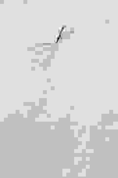 Lavender Cotton Straight Kurta Pants Suit Set image number 1