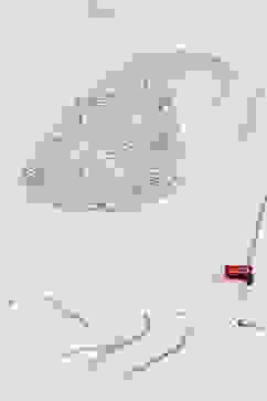 Lilac Cotton Blend Yarndyed Dupatta image number 2