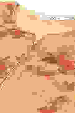 Peach Printed Straight Kurta Palazzo Suit Set image number 1