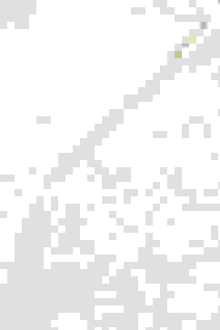 Off White Cotton Blend Layered Kurta Churidar Suit Set image number 1