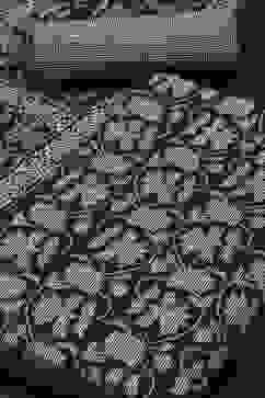 Indigo Cotton Screen Print Unstitched Suit Set image number 1