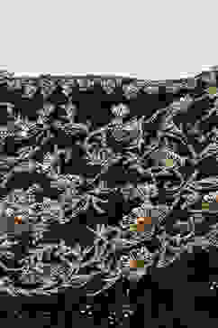 Black Polyester Flared Solid Dress image number 1