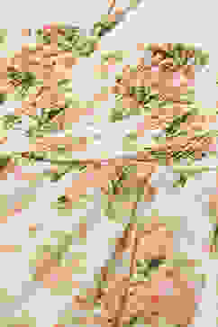 Off White Polyester Tiered Dress image number 1