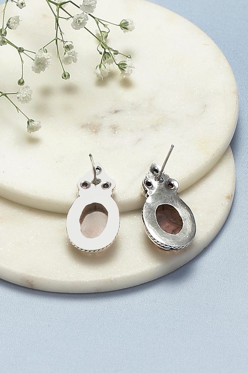 Brown Brass Earrings image number 2