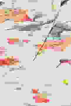 Rohit Bal Off White Silk & Cotton Straight Kurta Suit Set image number 1