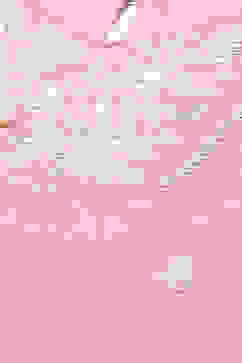 Peach Cotton Garara Kurta Sharara Suit Set image number 1