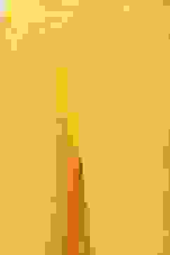 Yellow Printed Viscose A-Line Kurta Slim Pants Suit Set image number 2