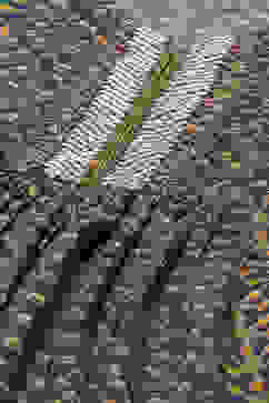 Grey Cotton Gathered Kurta Pants Suit Set image number 1