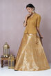 Mustard Metallic Lehenga Set