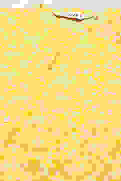 Yellow Cotton Straight Kurta Palazzo Suit Set image number 1