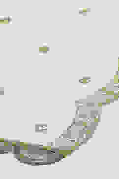 Beige Yarndyed Dupatta image number 1