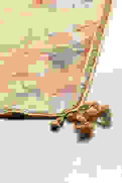 Mango Yellow Poly Cotton Lehenga Set image number 2