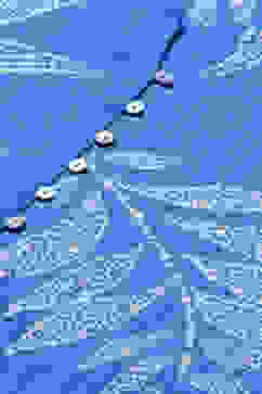 Blue LIVA Straight Printed Top image number 2