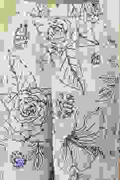 Off-White and Blue Cotton Straight Suit Set image number 2