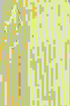 Light Blue Cotton Straight Printed Kurta Set image number 2