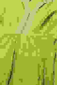 Green Cotton Anarkali Printed Kurta Churidar Suit Set image number 1