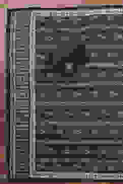 Navy Blue Chanderi Hand Embroidered Unstitched Suit Set image number 3