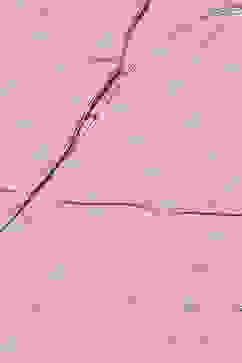 Pink Cotton Blend Anarkali Embroidered Kurta Suit Set image number 1