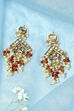 Red Drop Earrings image number 0