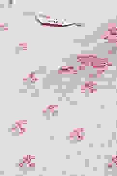 Beige Rayon Straight Kurta Palazzo Suit Set image number 1