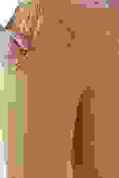 Beige Cotton Slim Pants image number 1