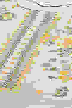 Ice Blue Rayon Straight Kurta image number 1