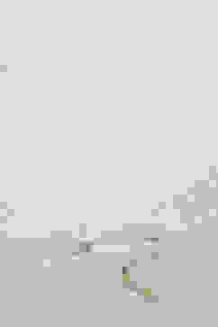 Off White Art Silk Yarndyed Dupatta image number 1