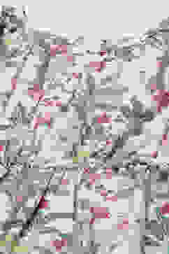 Cream Cotton Straight Jumpsuit image number 1