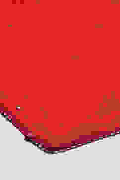 Red Cotton Blend Printed Dupatta image number 1