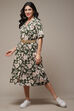 Forest Green Cotton Straight Printed Dress image number 1