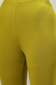 Henna Green Cotton Lycra Churidar image number 1