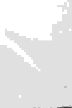 Rohit Bal Cream Cotton Silk Straight Yarndyed Suit Set image number 3