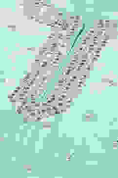 Turquoise Straight Kurta Palazzo Suit Set image number 1